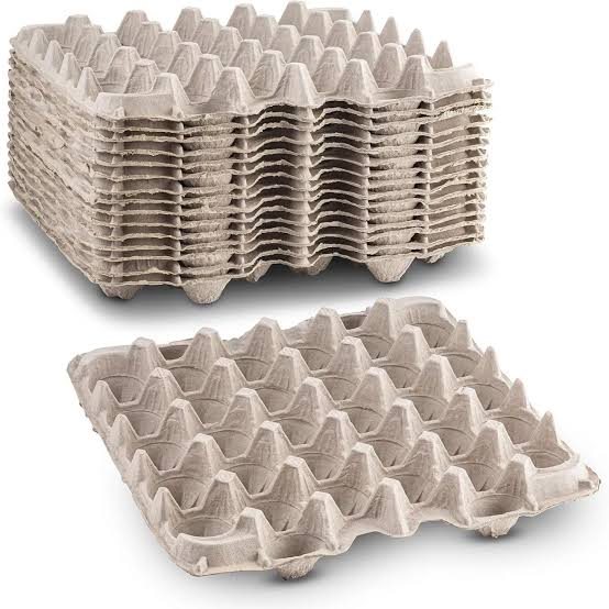 Chicken Egg Tray (Paper)