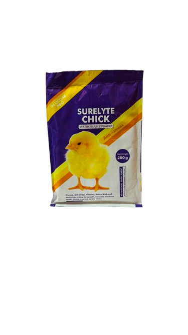 SURELYTE CHICK 100G