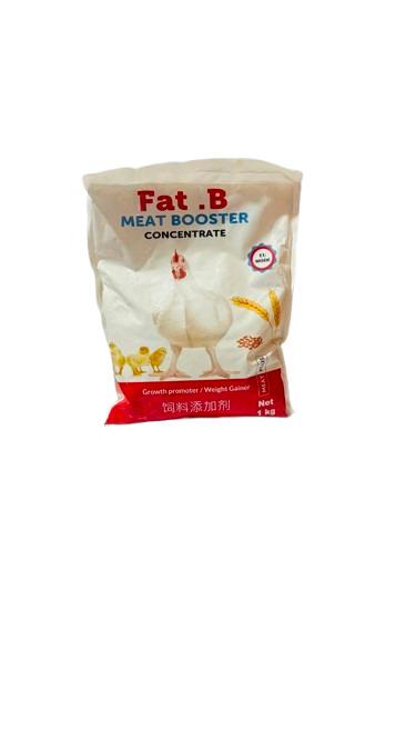 FAT B PCS