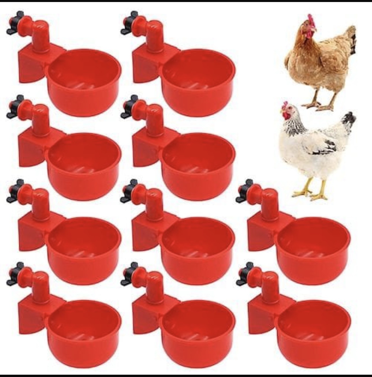 CHICKEN NIPPLE BUCKET