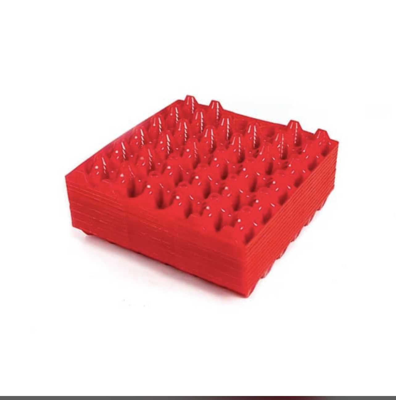 Chicken Egg Tray (Plastic)