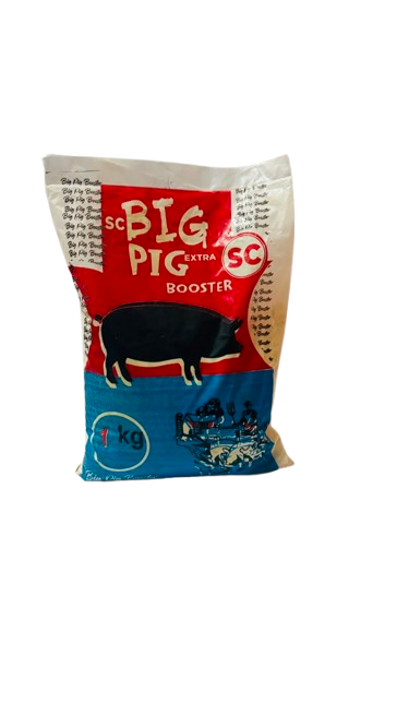 BIG PIG