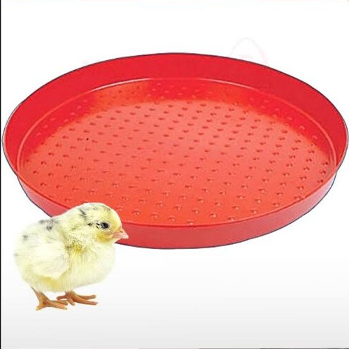 CHICKEN FEEDING TRAYS
