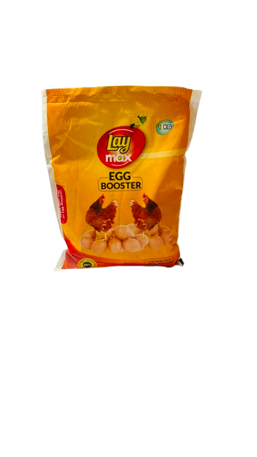 EGG BOOSTER